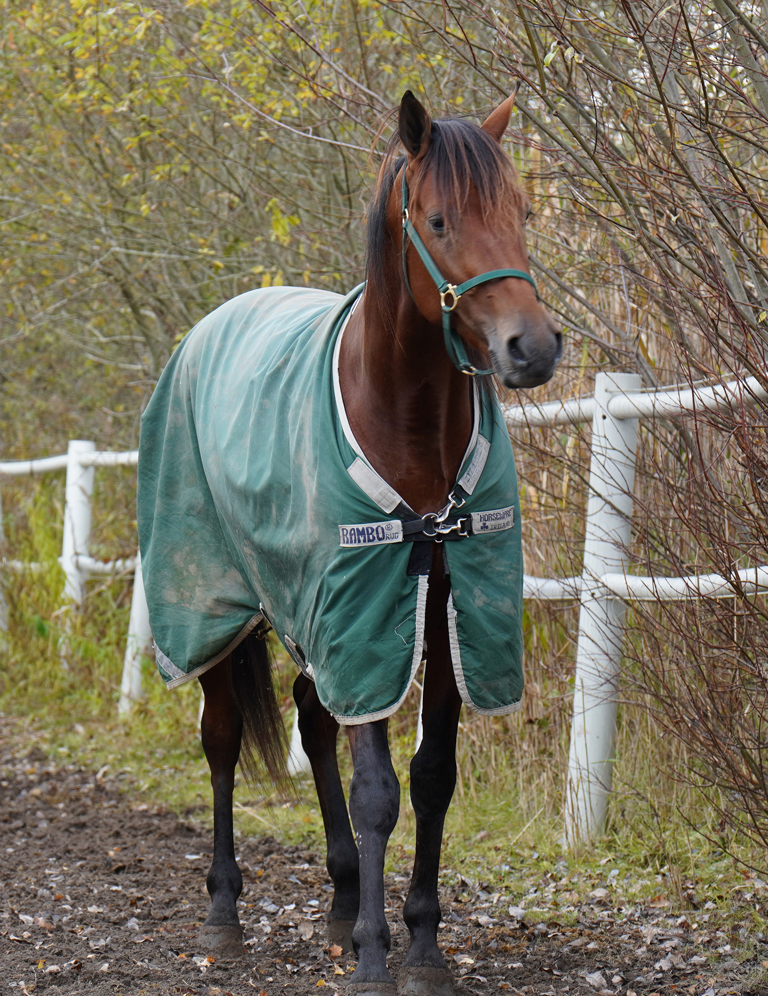 I'm Listening 251020-2